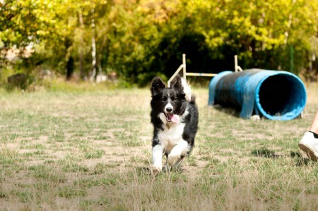 agi soustředění v Praze /srpen 2015